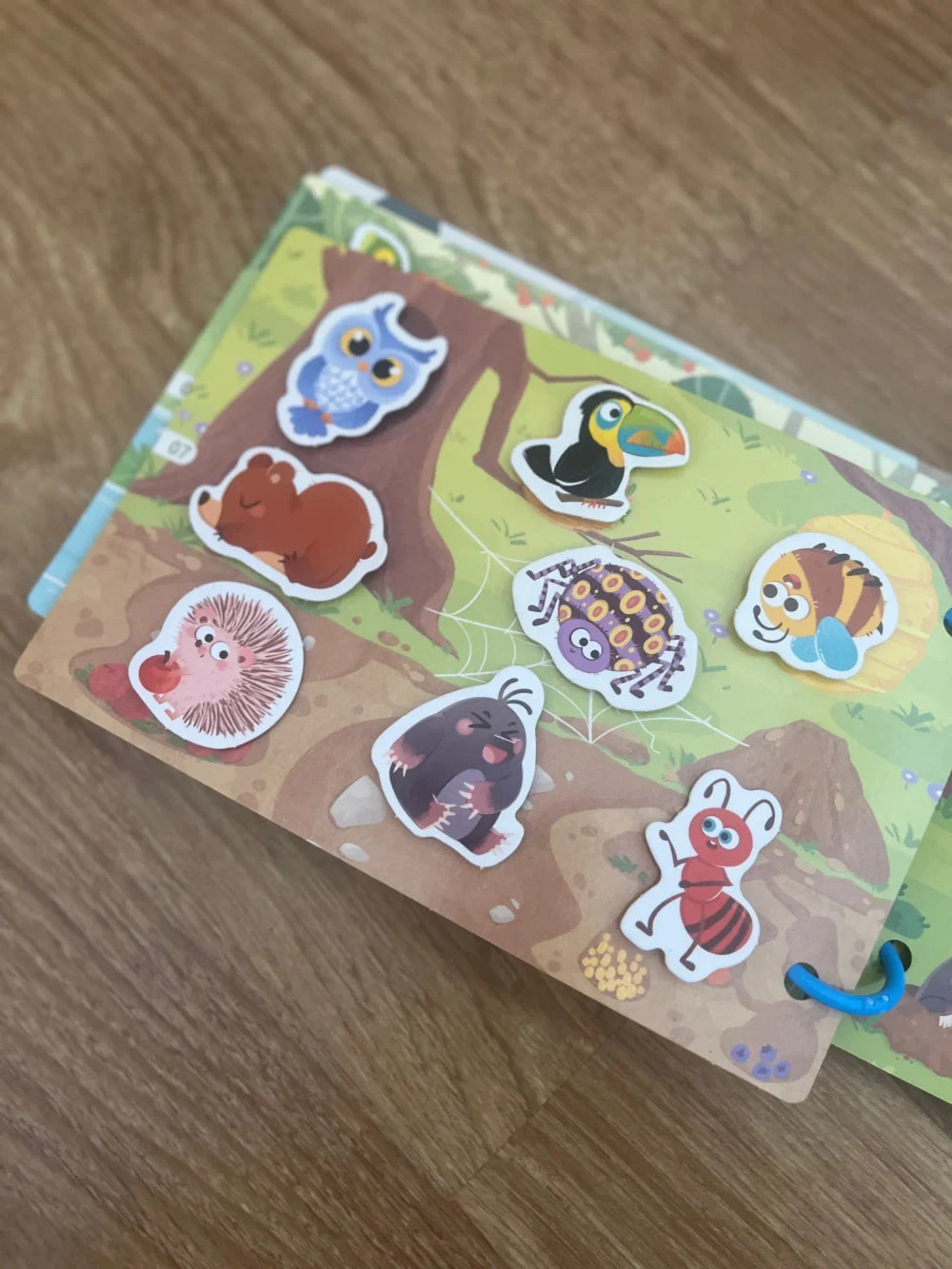 Review Card
